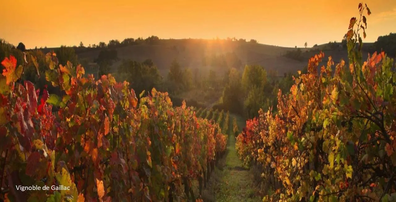 Domaine La Poudie Mailhoc